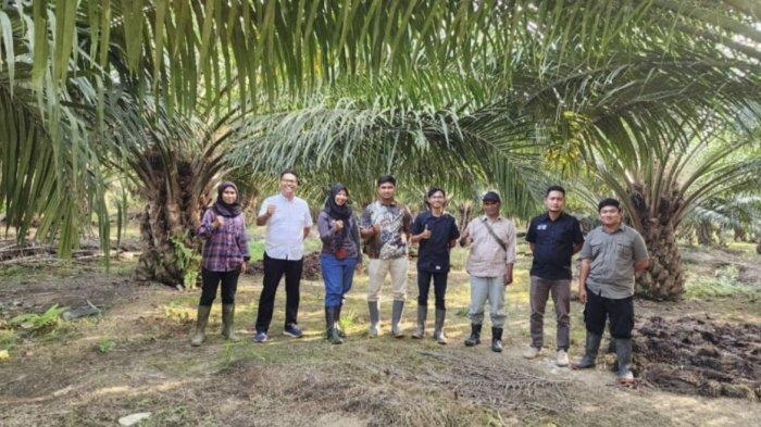 Anak Perusahaan Holding Perkebunan Nusantara III (Persero) Raih Produktivitas Kilogram TBS Tertinggi Terhadap RKAP