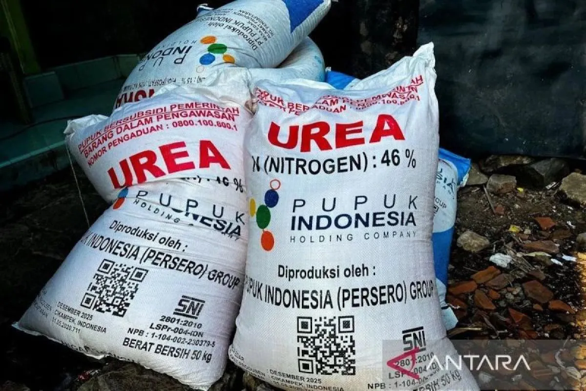Pupuk subsidi, energi petani hidupkan sawah, lahirkan swasembada