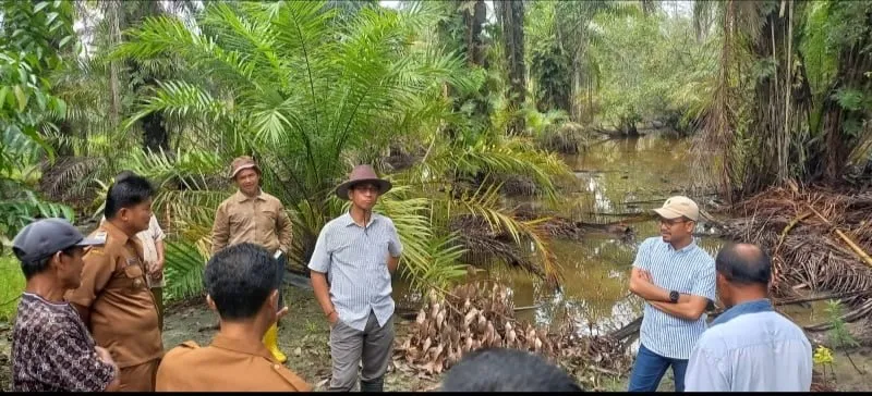 140 Hektar Ladang Sawit Di Batubara Terendam Banjir