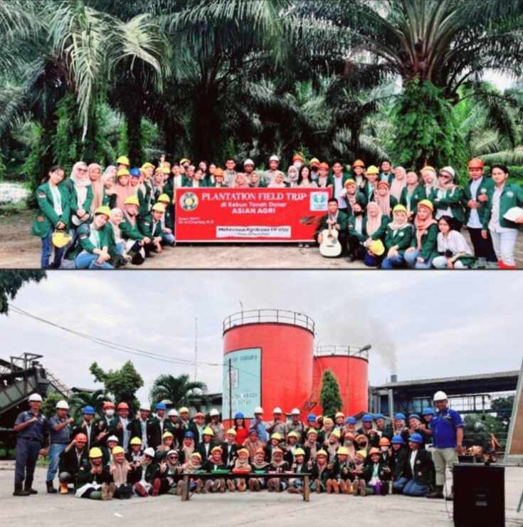 Mahasiswa Agribisnis Fakultas Pertanian USU Kunjungi Kebun Tanah Datar Di Batubara