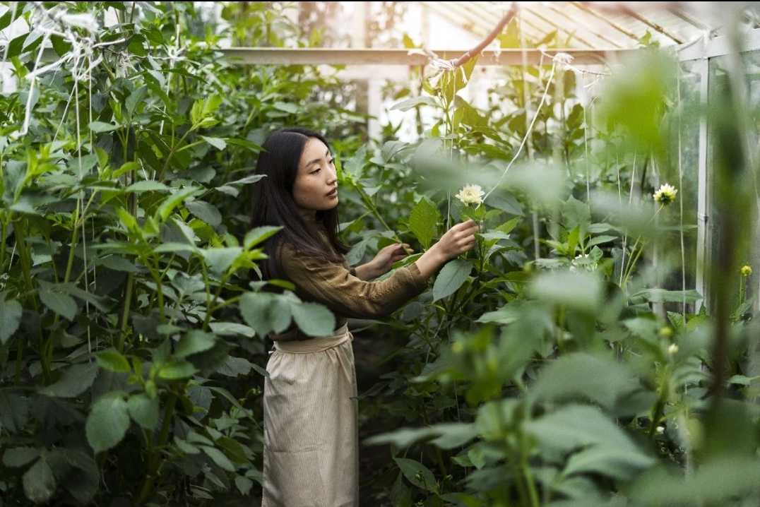 Perkuat Implementasi Ekonomi Hijau, Kalbis Institut Gelar Program MM in Sustainable