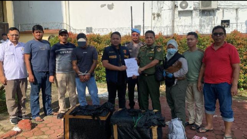 Otak Pelaku Perdagangan Orang Utan Ditangkap Di Aceh
