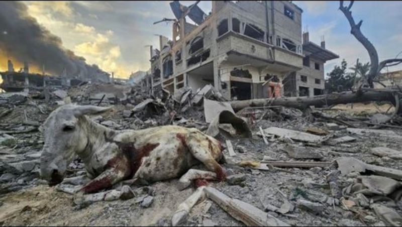 Israel Kian Brutal, Setelah RS Indonesia, Kini Serang Sekolah