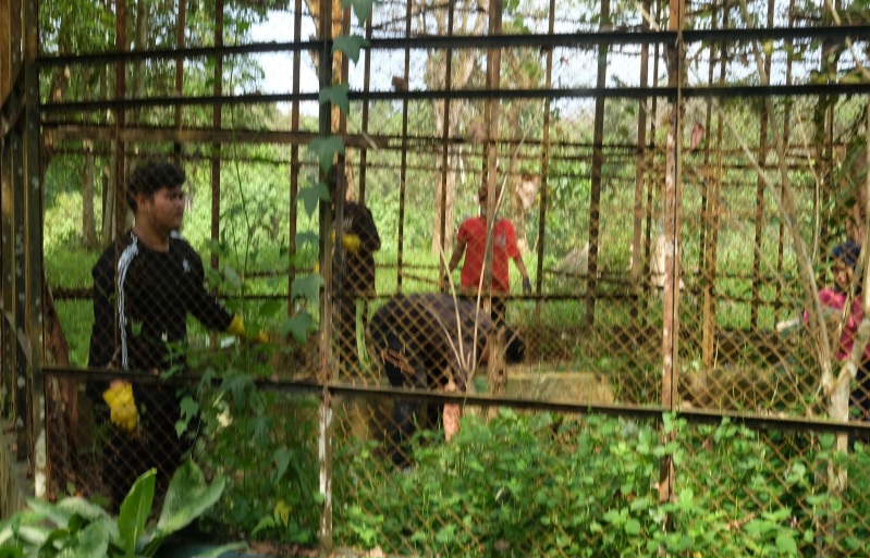 PDHI Sumut Sedih Satwa Bermatian Di Medan Zoo