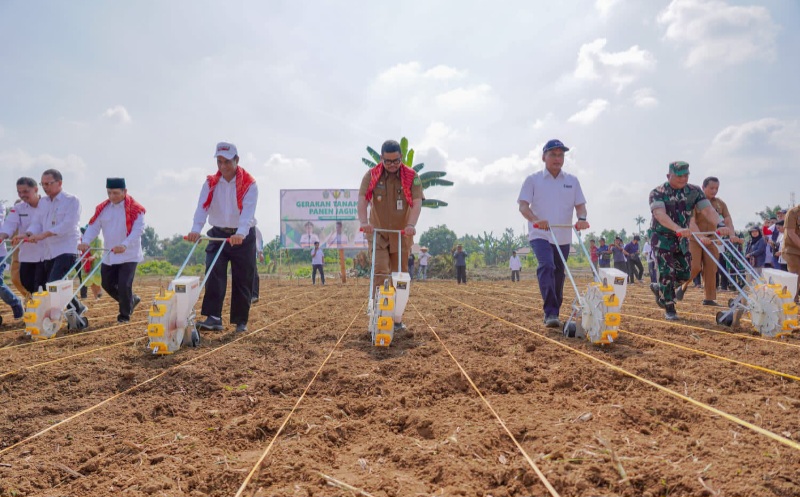 Panen 8 Ton Jagung Bersama Bobby Nasution, Mentan: Ini Luar Biasa, Semoga Hentikan Impor