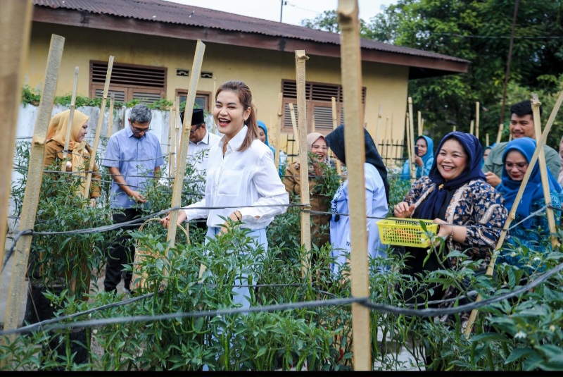 Bersama Kelompok Tani, Ketua TP PKK Kota Medan Panen Cabai Merah