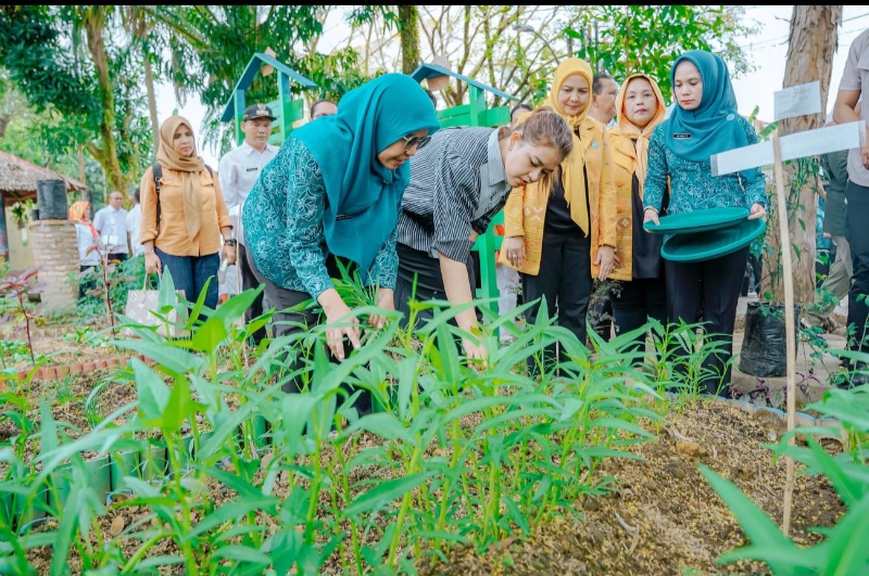 Ny Kahiyang Ayu Apresiasi Inovasi Yang Dilakukan Kelurahan Pulo Brayan Bengkel Baru