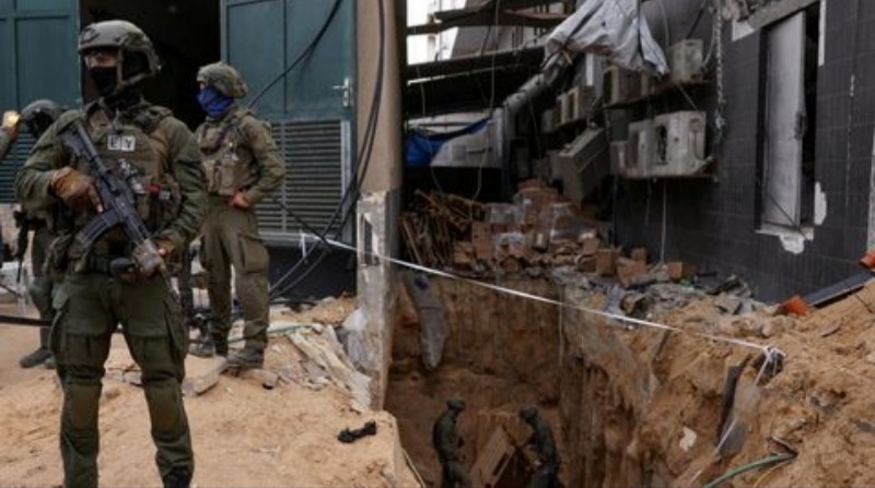 Tentara Israel Diserang Ratusan Tawon, 12 Orang Dilarikan Ke RS