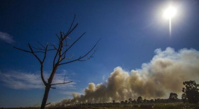 Awal Juni, Sejumlah Wilayah Indonesia Musim Kemarau, Ini Daerahnya