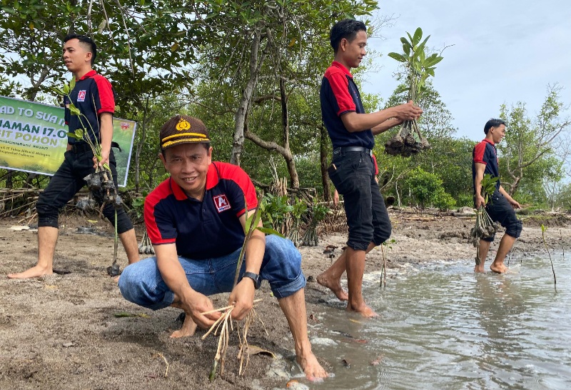 Alfamidi Tanam 1000 Bibit Mangrove