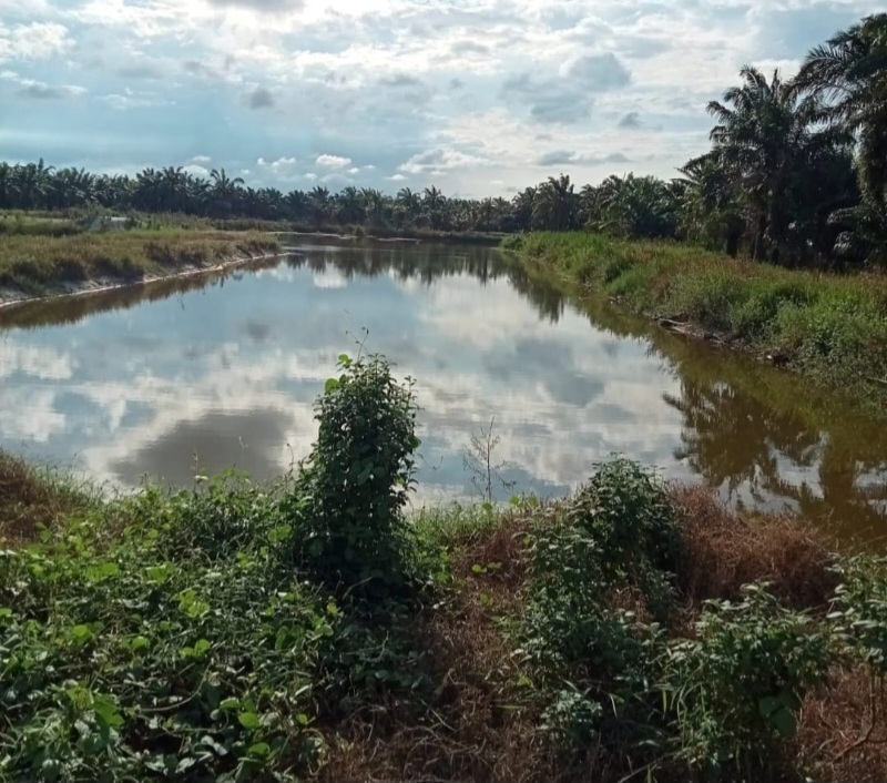 Kementerian ESDM Sebut Penambangan Pasir Kuarsa Di Batubara Di Luar Koordinat