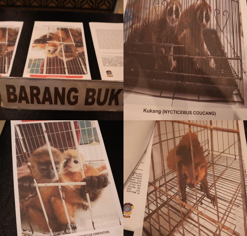 Polisi Gagalkan Perdagangan Satwa Dilindungi