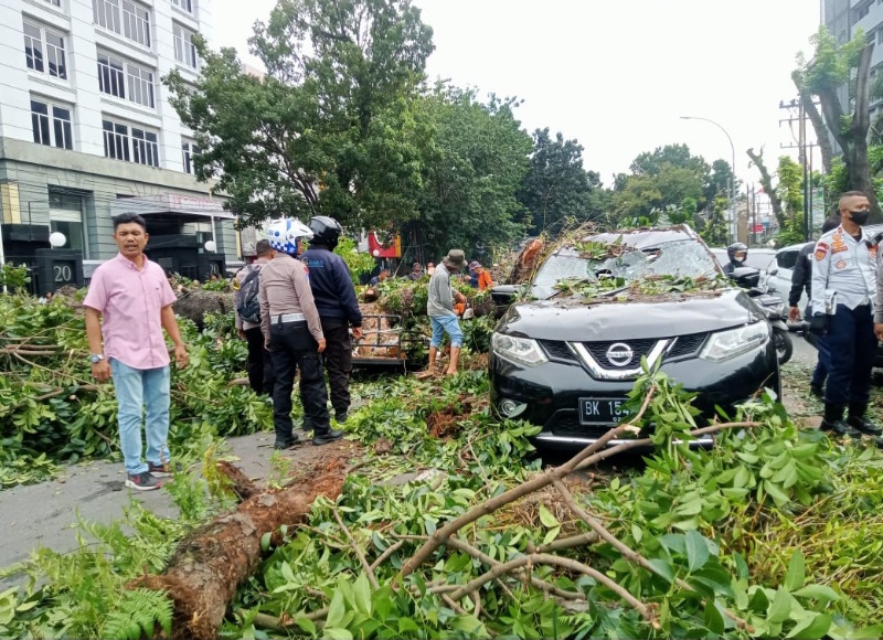 Pohon Mahoni Tumbang Timpa Mobil Dan Betor, Dua Orang Dilarikan Ke RS