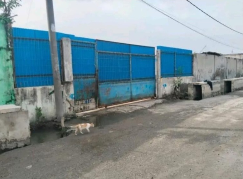 HNSI Medan Minta Pertamina Tindak Transportir Pasok BBM Solar Subsidi Di Gabion Belawan