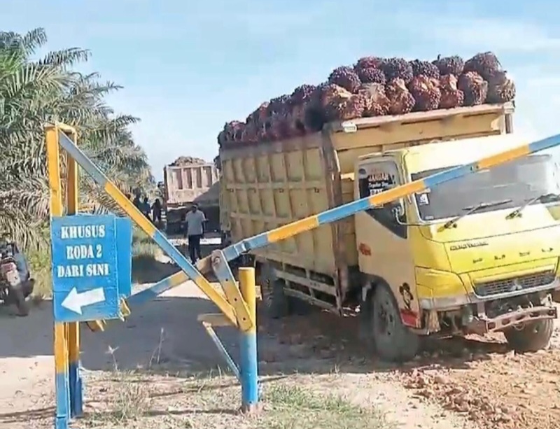Warga Kampungrakyat Berharap Truk Angkutan Sawit Tidak Dilarang Melintas Di Perkebunan PT. ABM