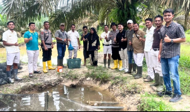 ANJAS Panen Perdana Ikan Nila Bersama Koptan Peduli Api Tapsel