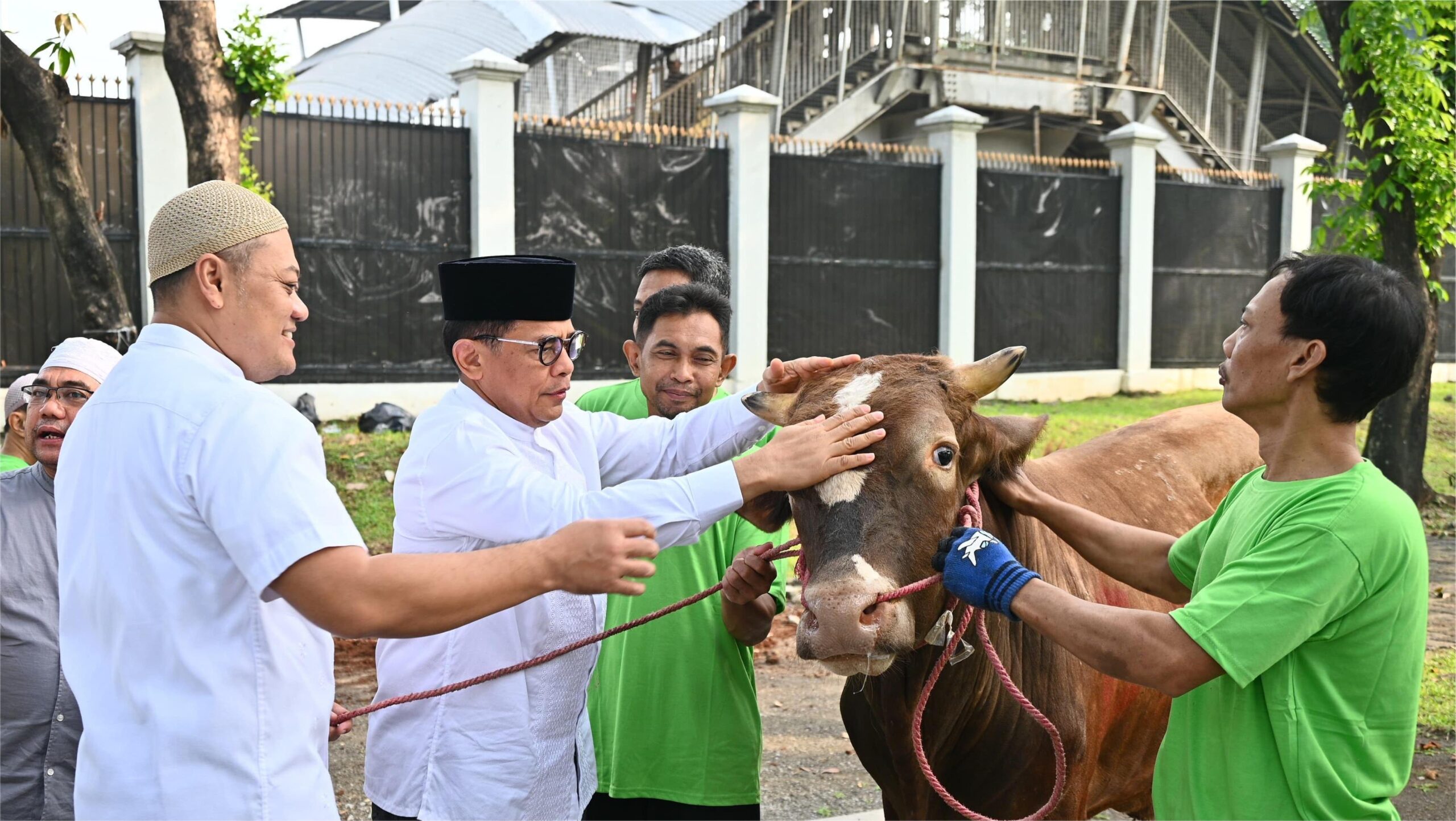 Sekretariat Jenderal MPR/DPR/DPD RI Kurban 11 Sapi Dan 7 Kambing Di Idul Adha 1445 H