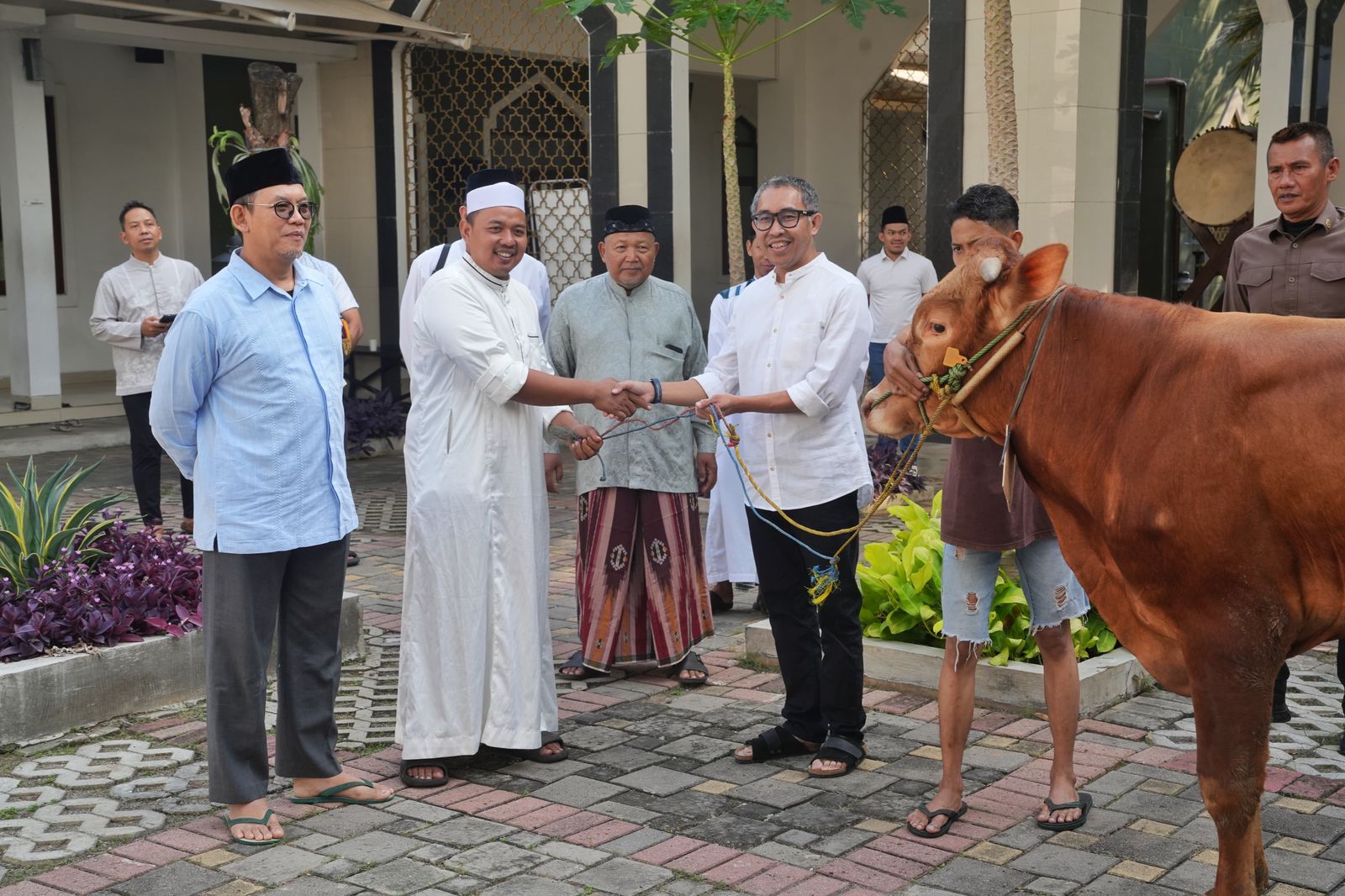 PGN Group Bagikan 955 Hewan Kurban Untuk Masyarakat