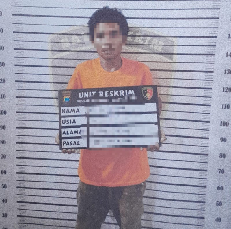 Polisi Tangkap Pelaku Pembakaran Hingga Tewas Di Perumnas Mandala