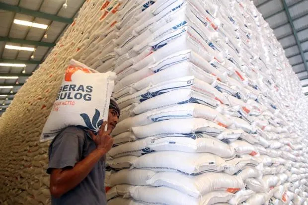 Cadangan Beras Tembus 5 Juta Ton, Fondasi Swasembada Pangan Mulai Terlihat