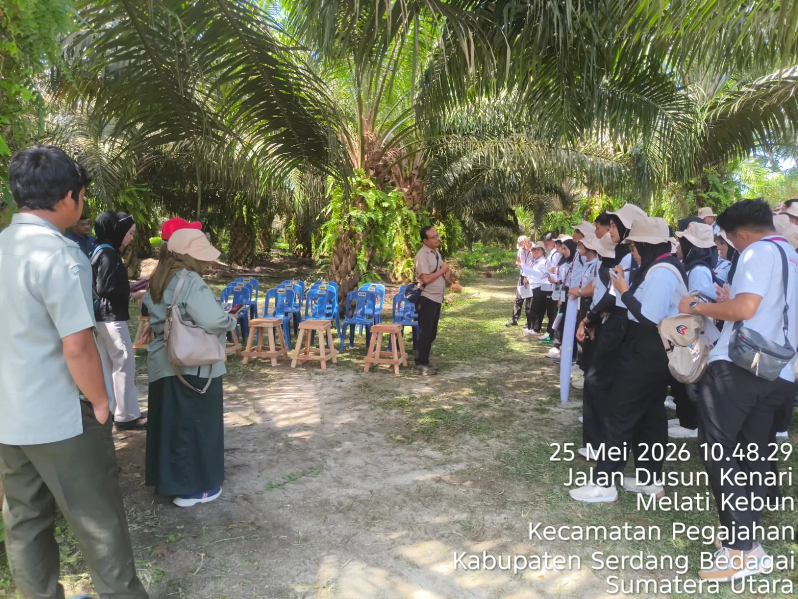 Pelatihan Dan Sertifikasi ISPO, Mahasiswa Polbangtan Kementan Mock Audit Di PTPN IV