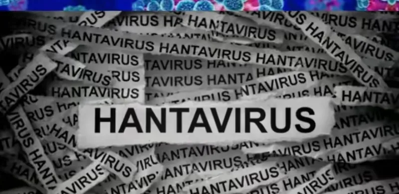 Kasus Hantavirus Pernah Ditemukan di Indonesia