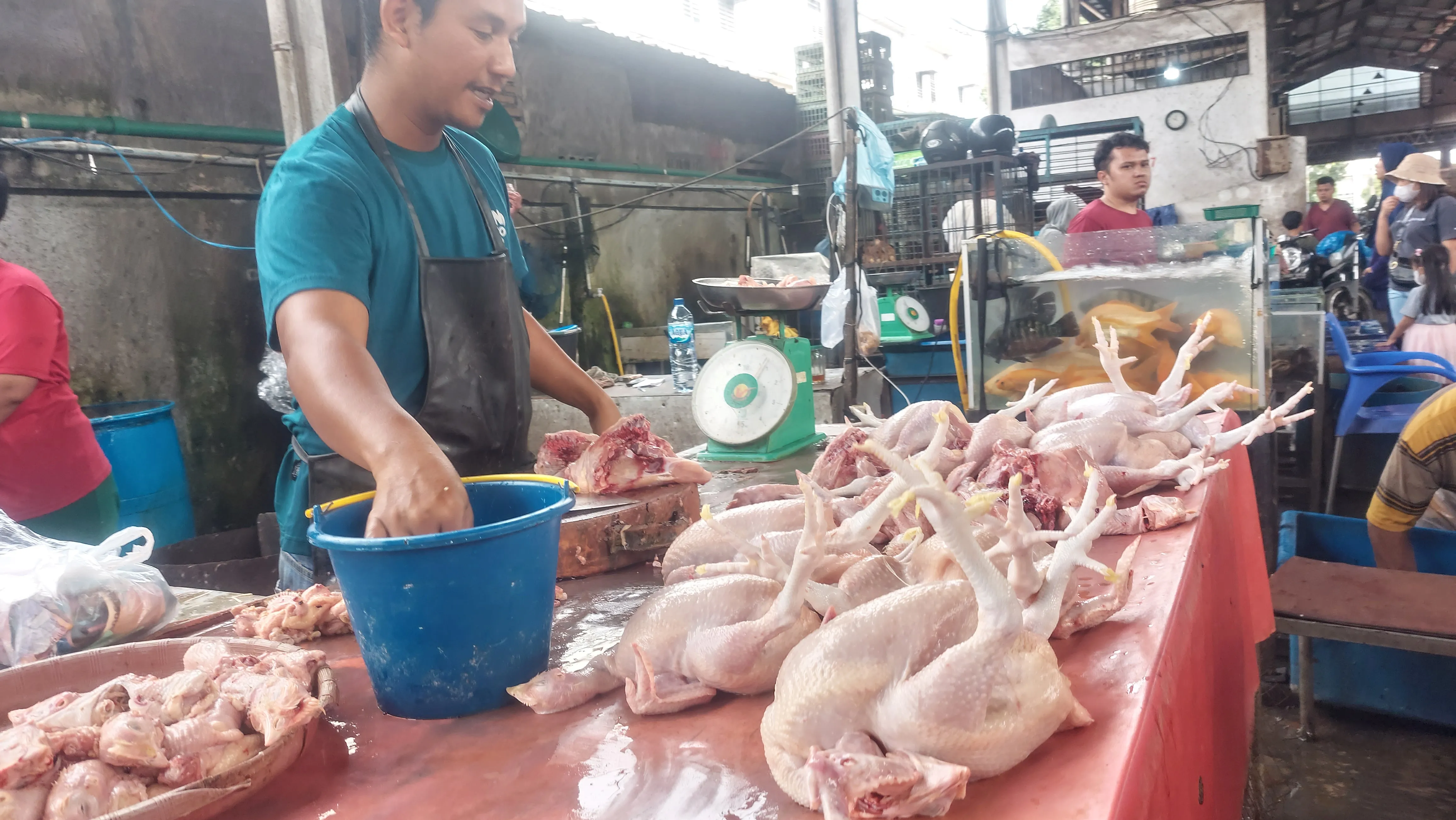 Harga Daging Ayam Hingga Sapi Diprediksi Tetap Mahal, Ini Penyebabnya