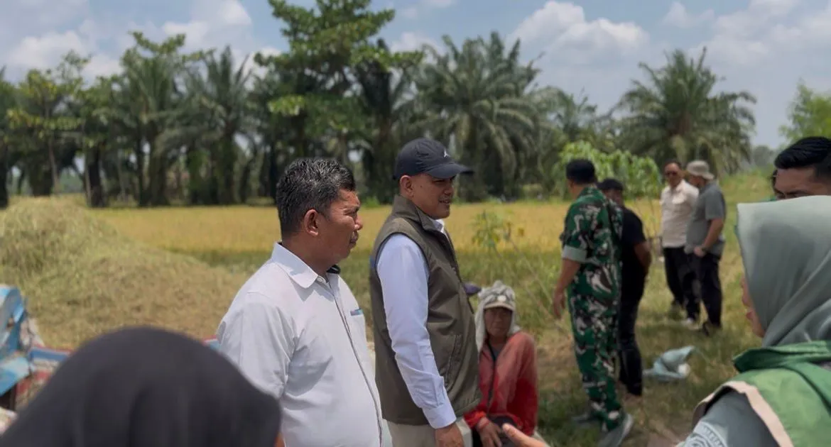 BULOG Tembus 3 Juta Ton Serapan Gabah-Beras Petani, Rekor Baru Penguatan Cadangan Pangan Nasional