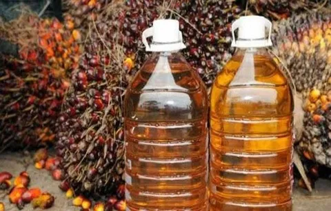Harga CPO Menguat Dua Hari Berturut