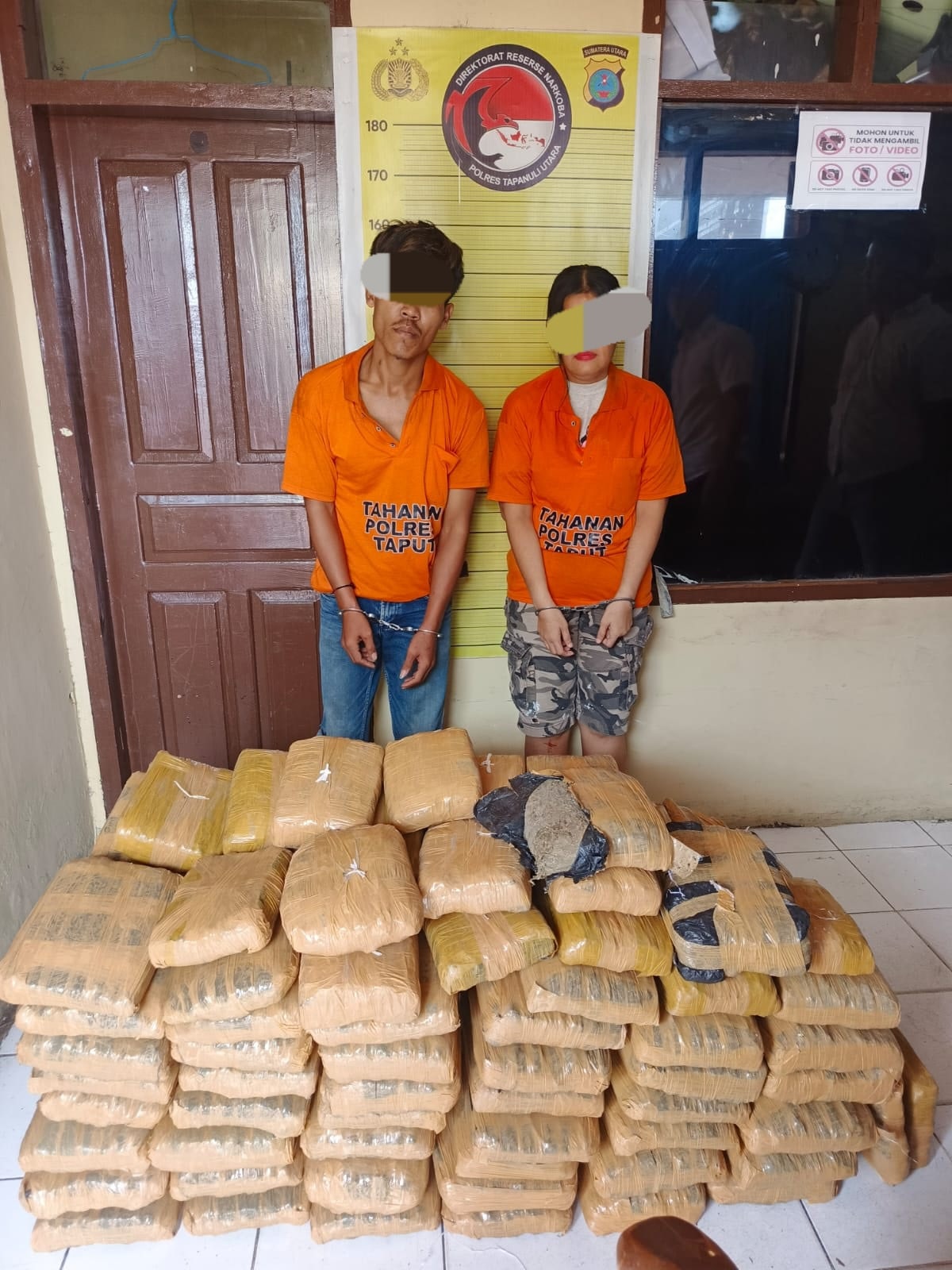 Polres Taput Sita 112 Paket Ganja Kering Usai Kecelakaan Kurir Narkoba