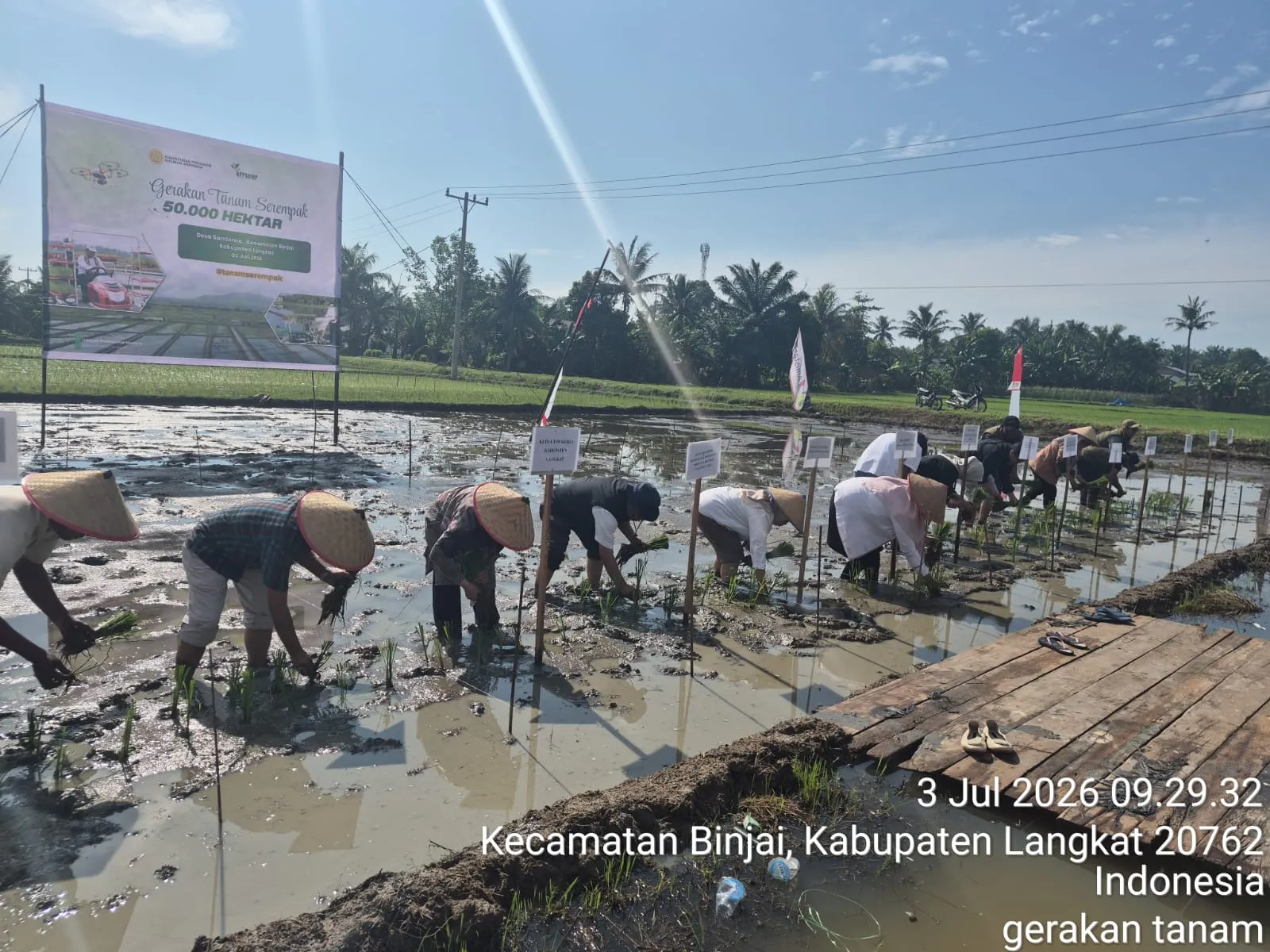 Polbangtan Kementan Dukung Swasembada Pangan Melalui Gerakan Tanam Serempak Di Langkat