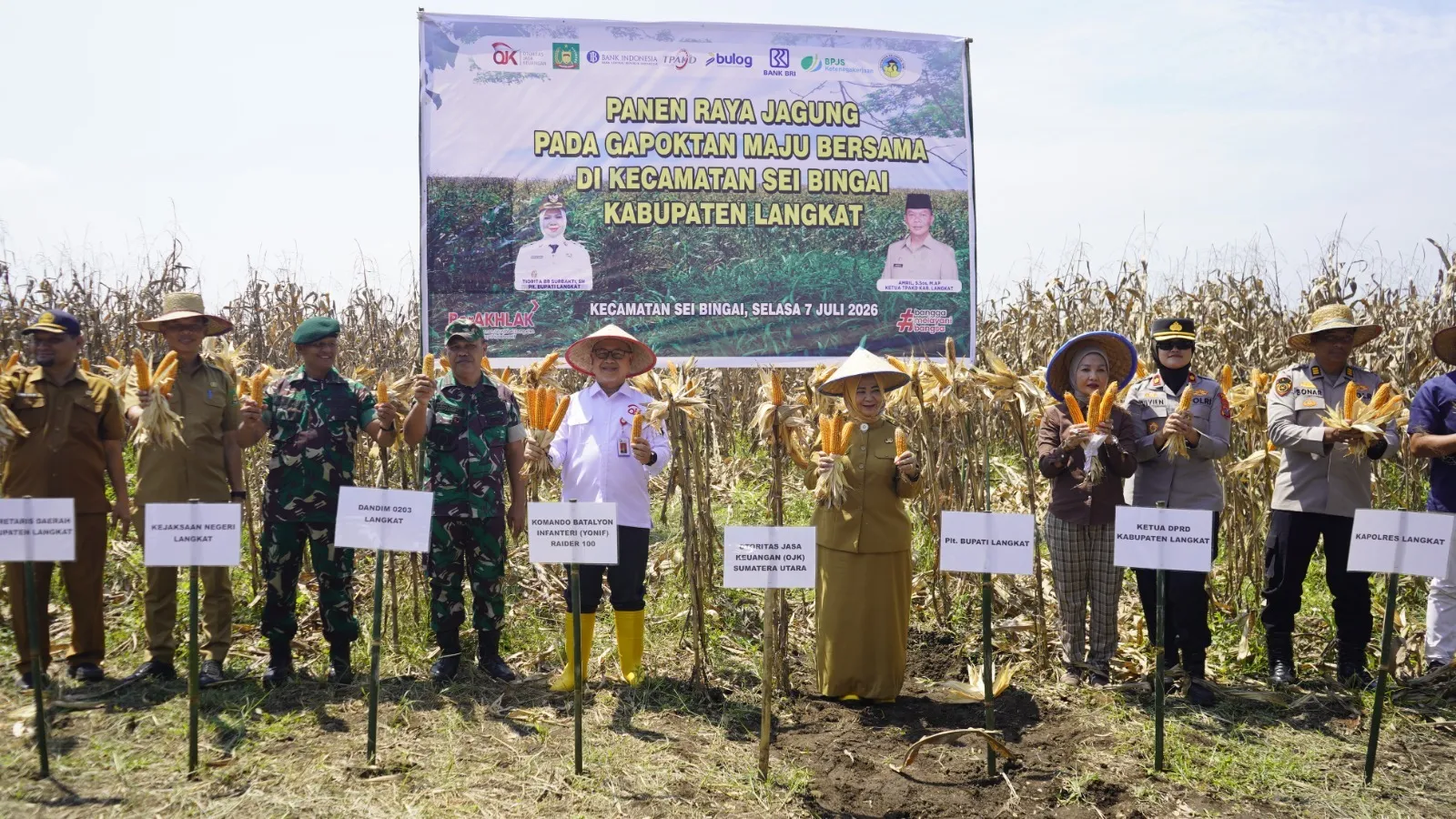 OJK Sumut Perluas Akses Pembiayaan Petani Lewat Klaster Jagung di Langkat
