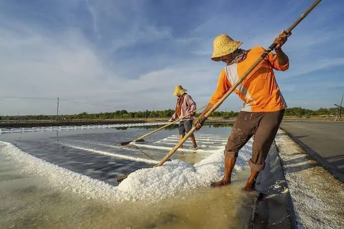Impor Garam Naik 13,1%, DPR Desak Pemerintah Perketat Keran Impor Demi Swasembada 2027