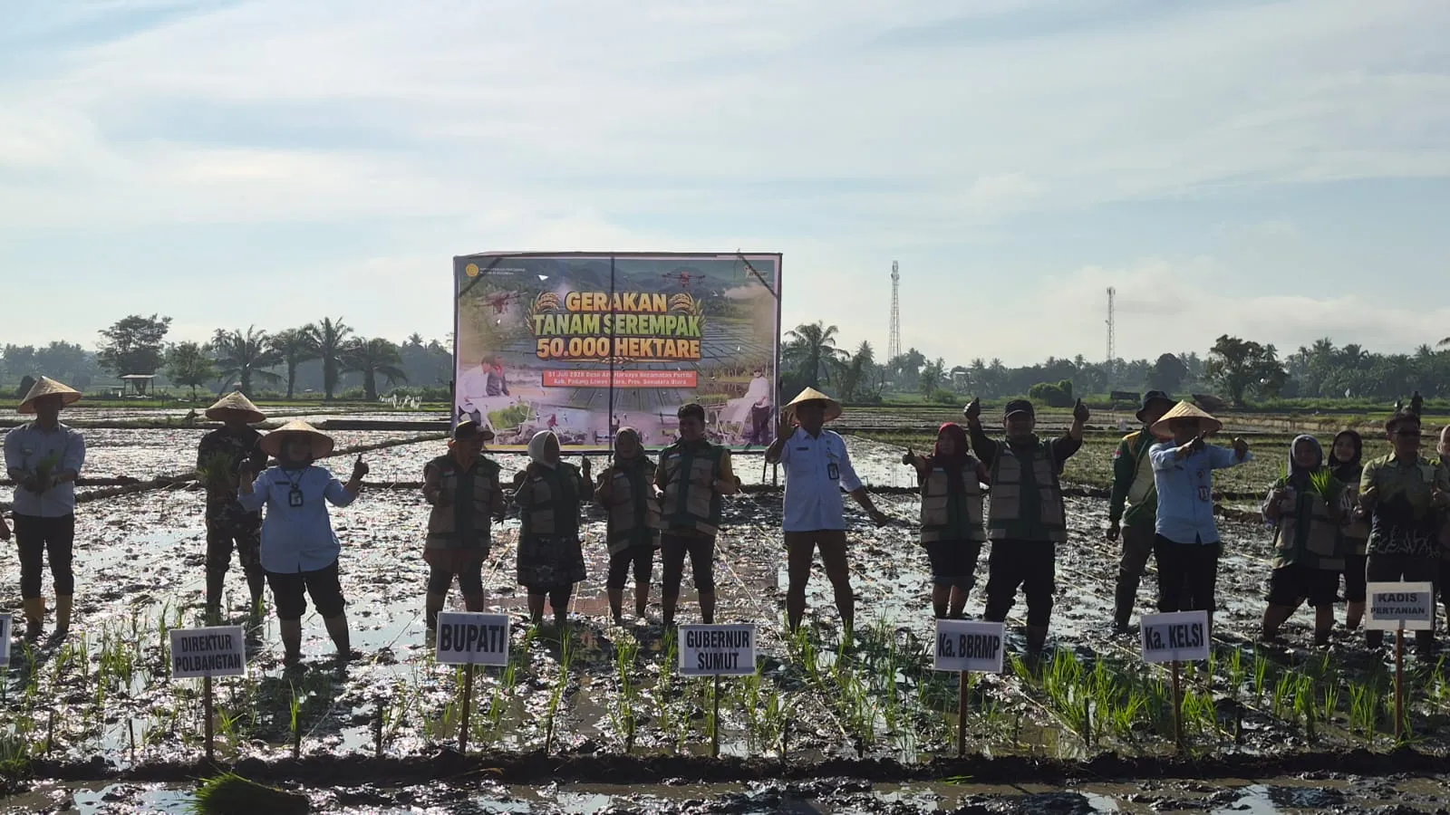 Dukung Target Swasembada Pangan, Kementan Laksanakan Gerakan Tanam Serempak Di Paluta