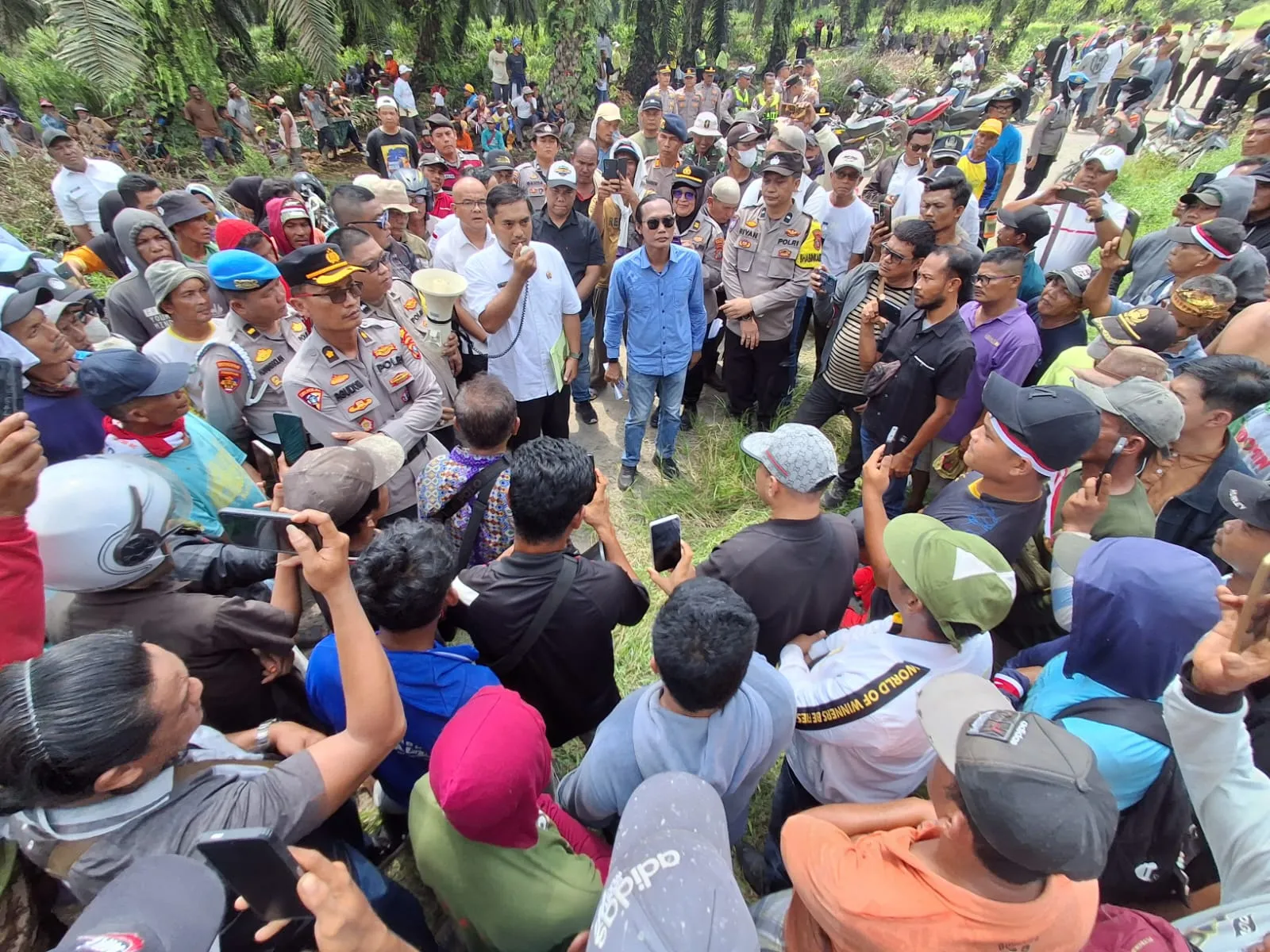 Kelompok Tani Duduki Kebun PT CSIL, Kuasa Hukum: Ini Penjarahan