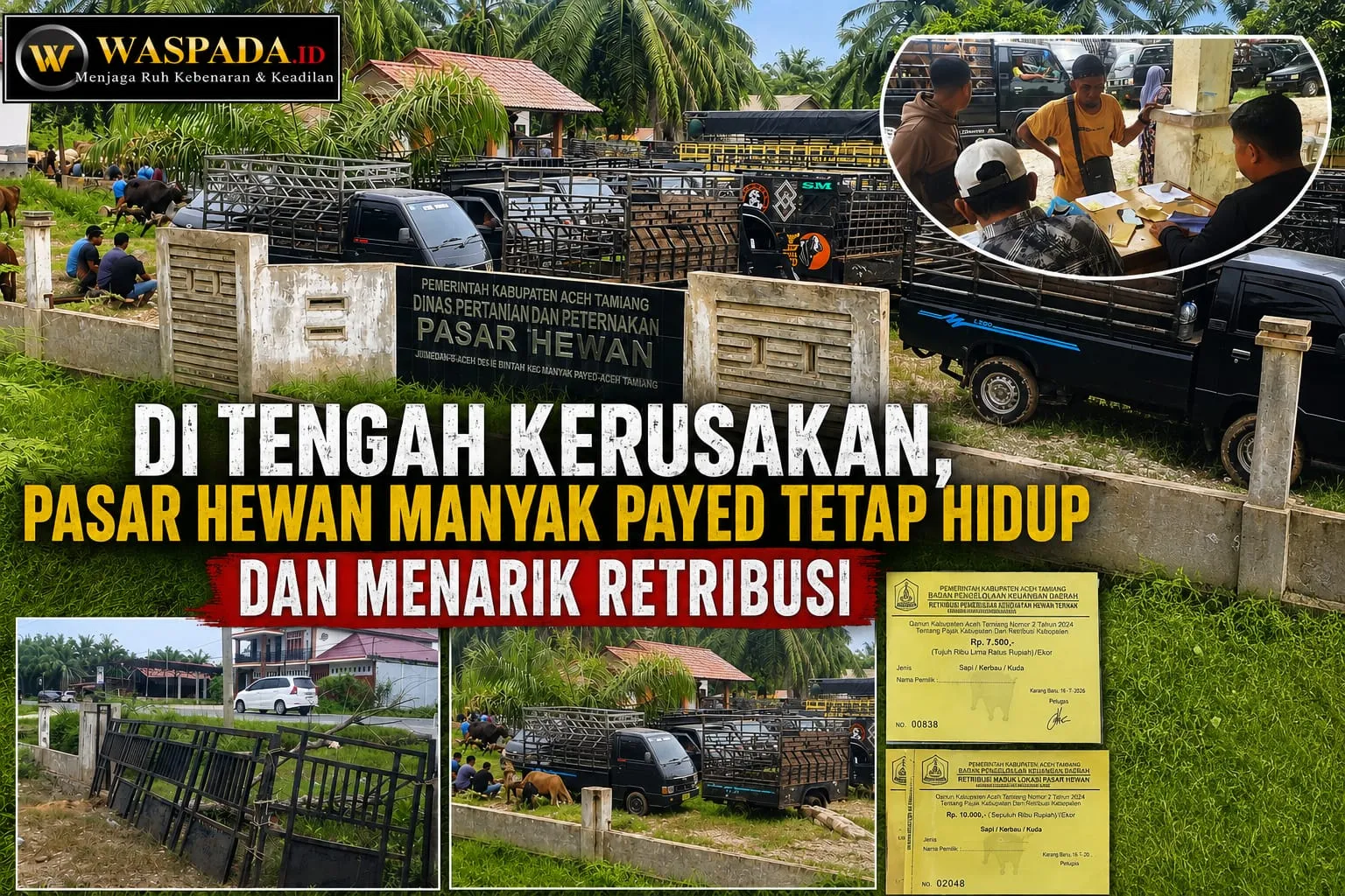 Di Tengah Kerusakan, Pasar Hewan Manyak Payed Tetap Hidup dan Menarik Retribusi