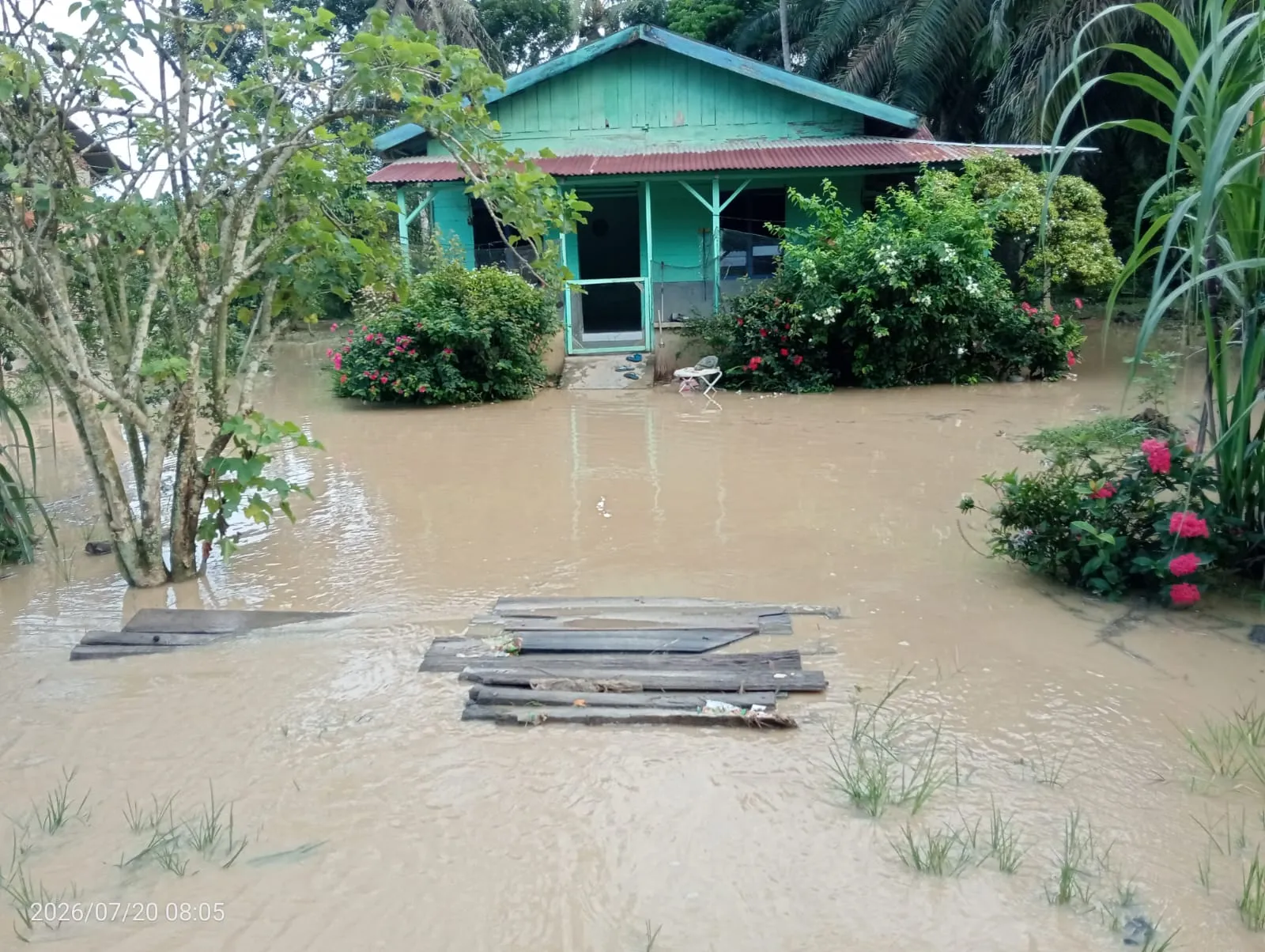 Dampak Kerusakan Ekosistem Hutan, Desa Sekoci Kerap Menjadi Langganan Banjir