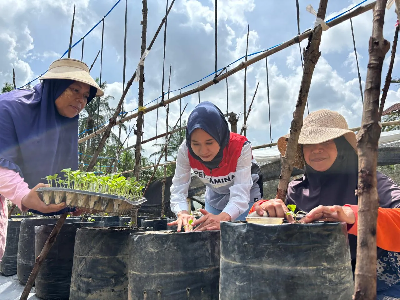 Kisah Chaidir Saleh, Beri Sentuhan Manisnya Melon Premium Untuk Petani Milenial