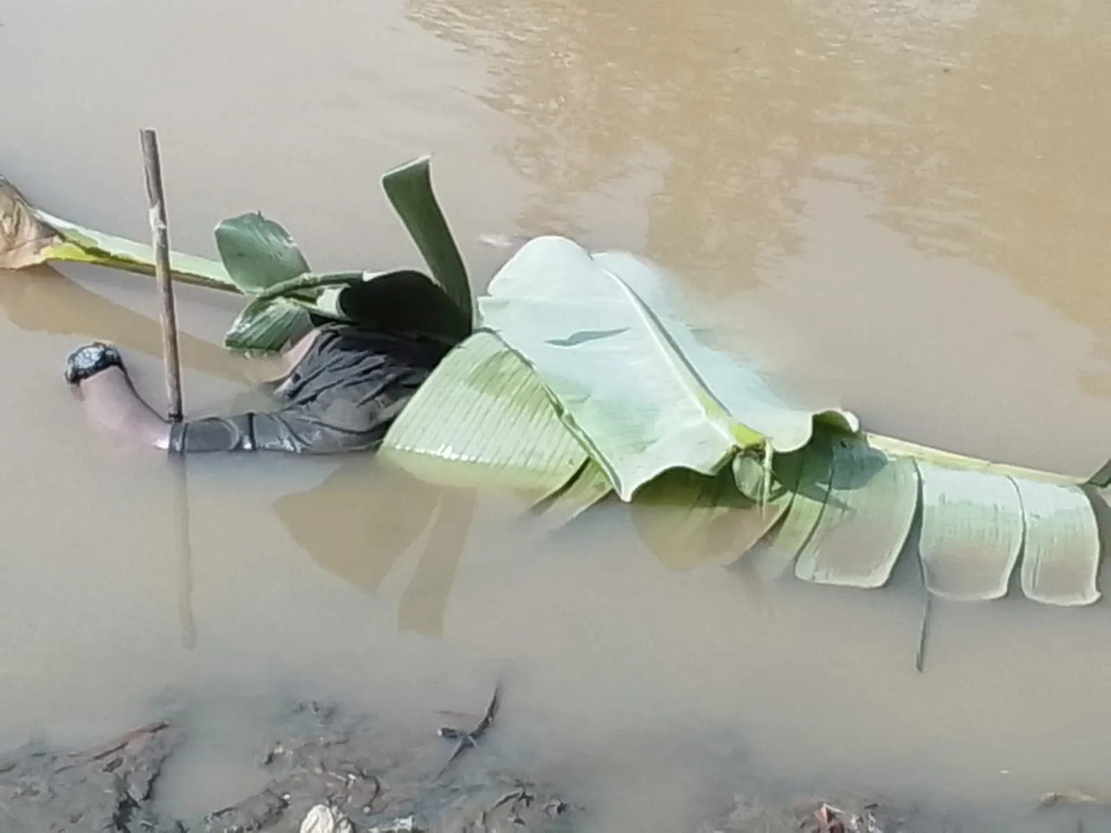 Mayat Pria Tanpa Identitas Terapung di Sungai Deli Medan Marelan