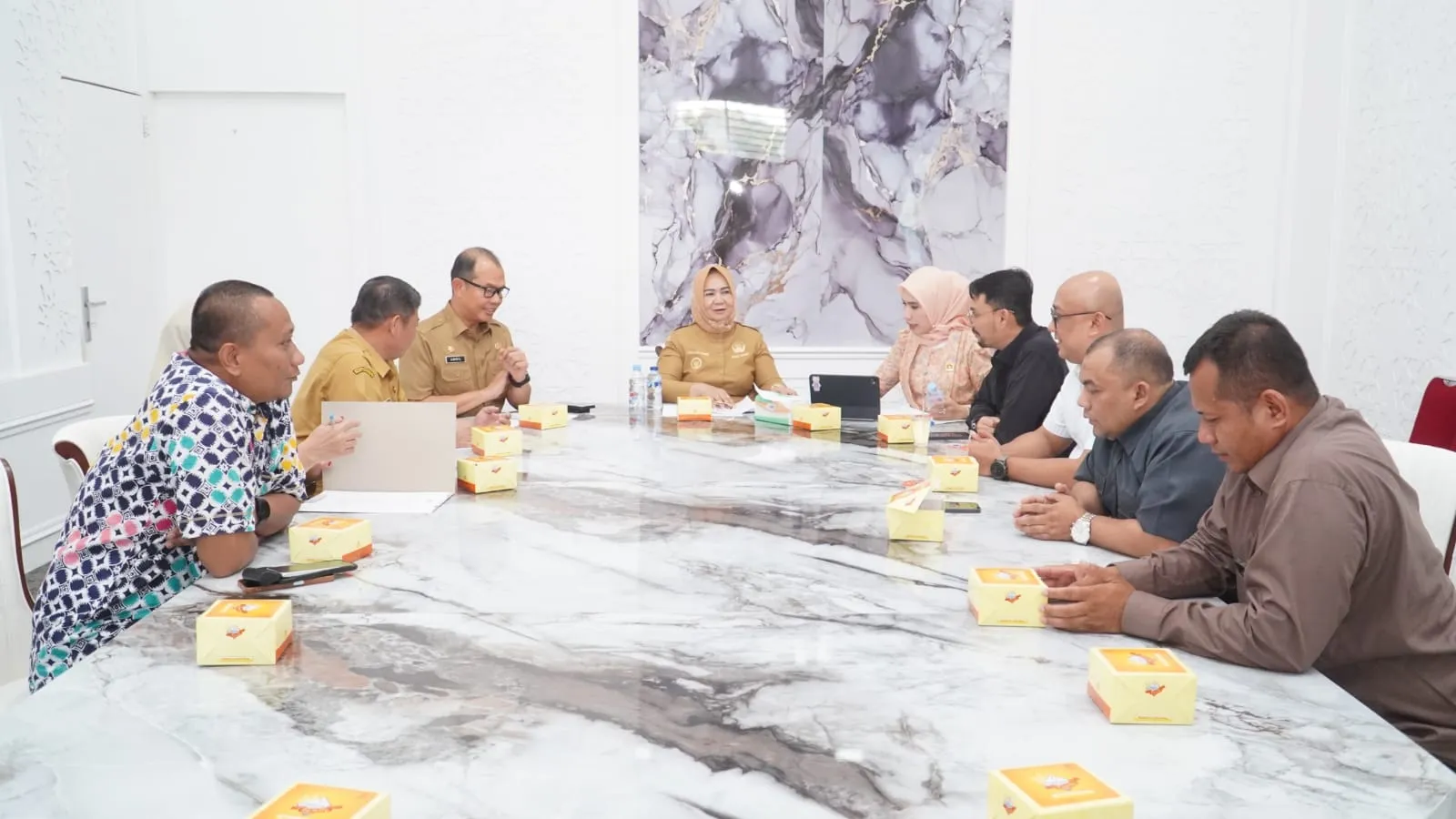 Plt Bupati Tiorita Percepat Penguatan Sektor Energi Demi Dongkrak PAD Langkat
