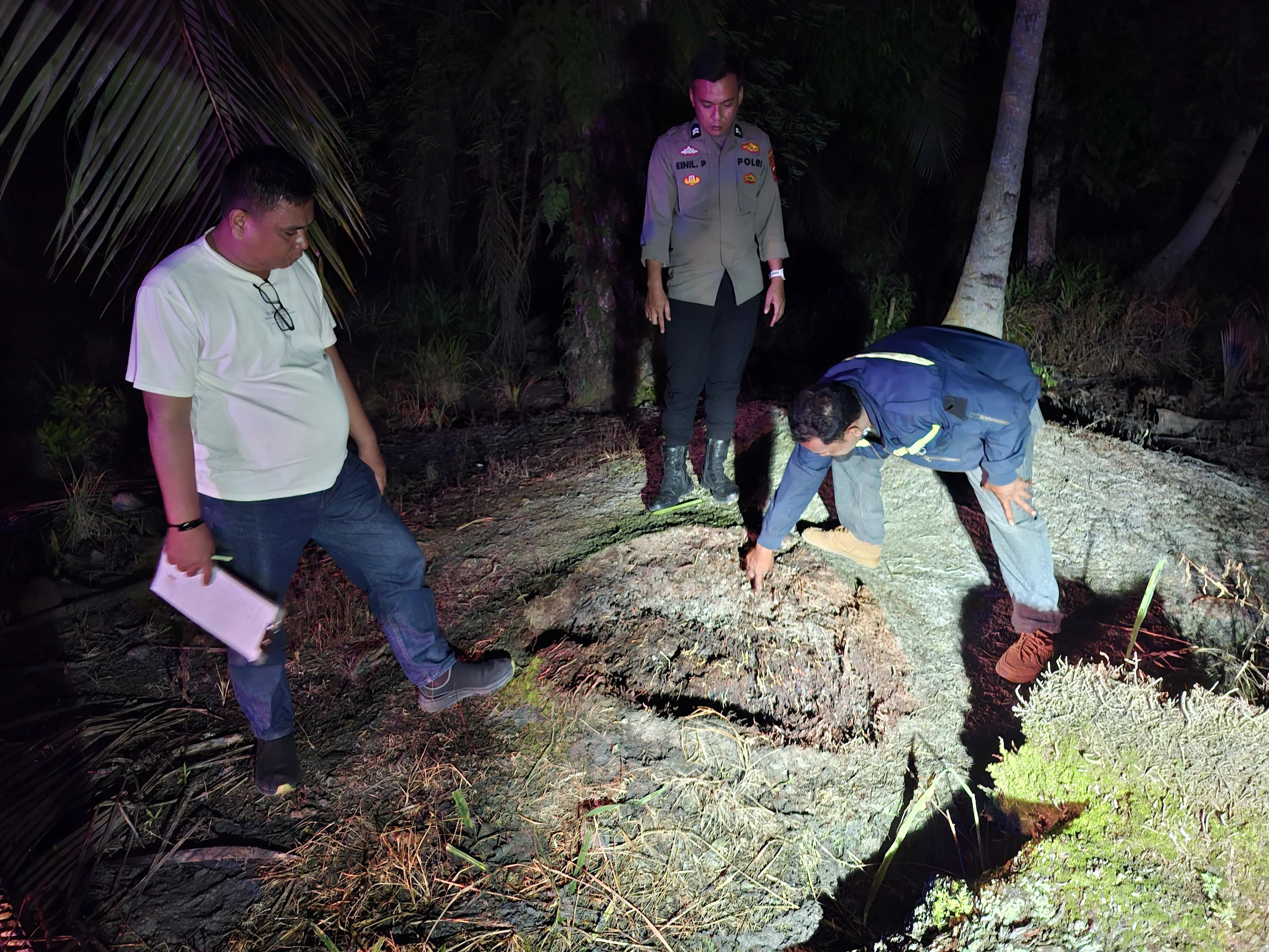 Tertimpa Pohon Kelapa Warga Nibung Hangus Tewas