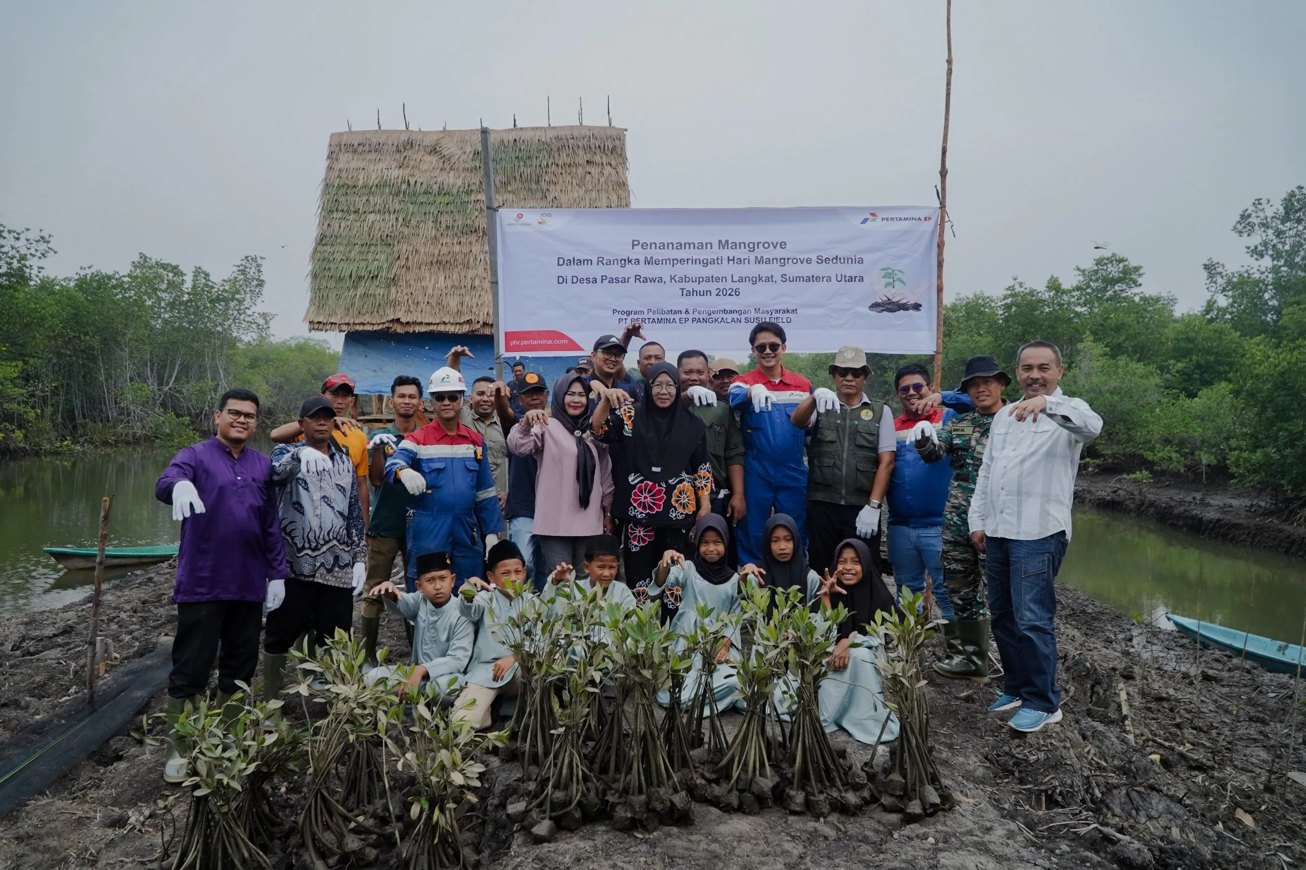 Peringati Hari Mangrove Sedunia, Pertamina EP Pangkalansusu Tanam 2.500 Bibit Bakau