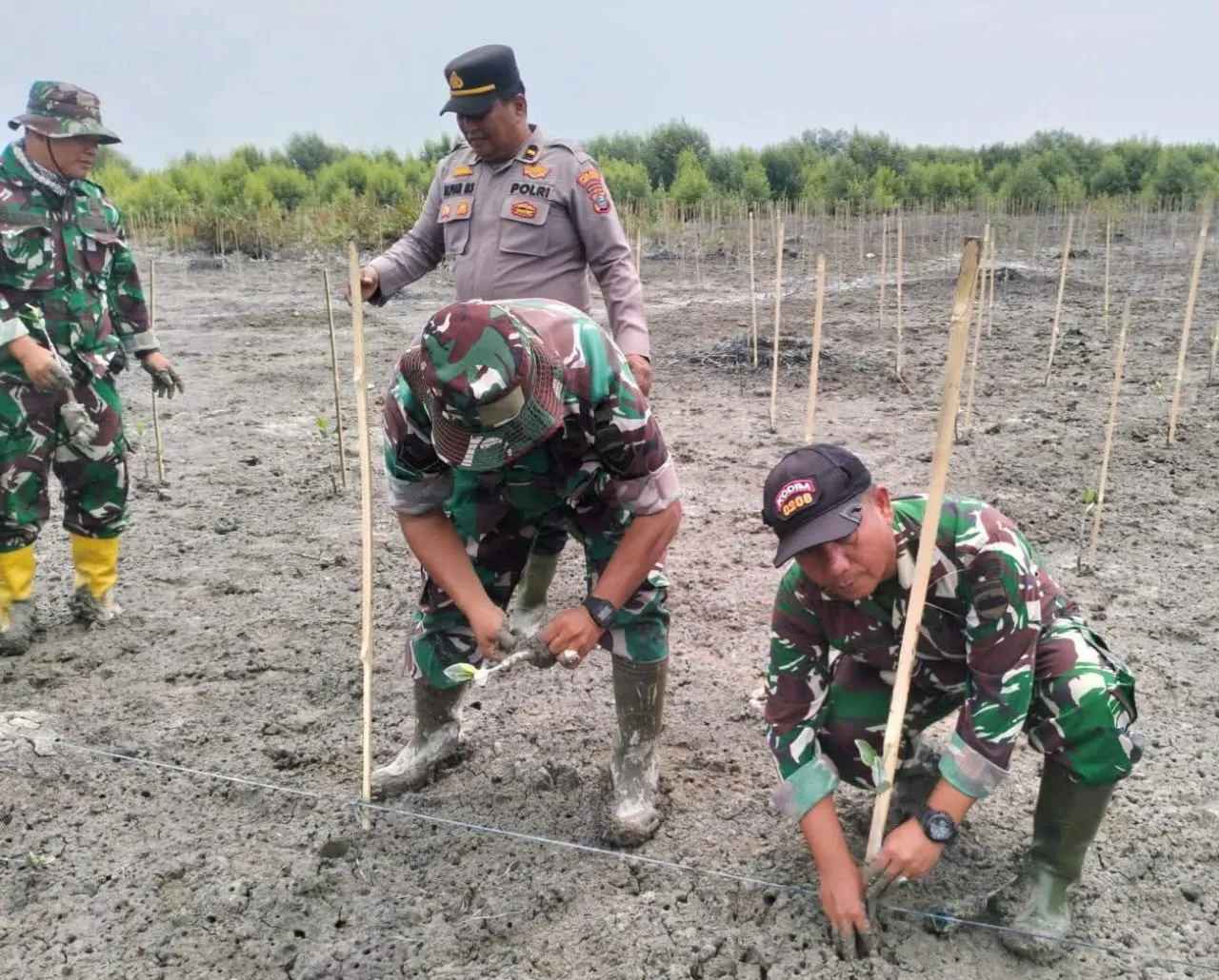 Menjaga Kelestarian Alam, Satgas TMMD Ke-129 Kodim 0208/Asahan Tanam Mangrove di Desa Kapal Merah