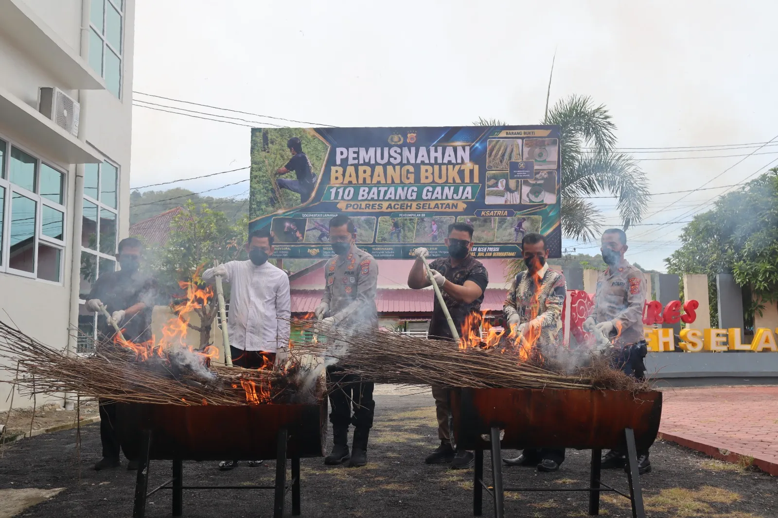 Polres Aceh Selatan Musnahkan 110 Batang Ganja Hasil Pengungkapan Kasus
