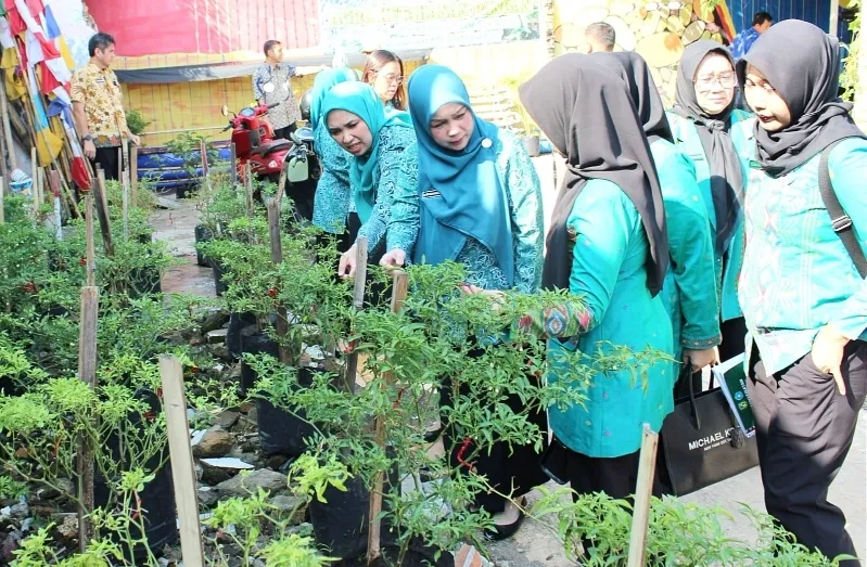Kelurahan Sei Agul Medan Barat Masuk Penilaian 'Aku Hatinya PKK'