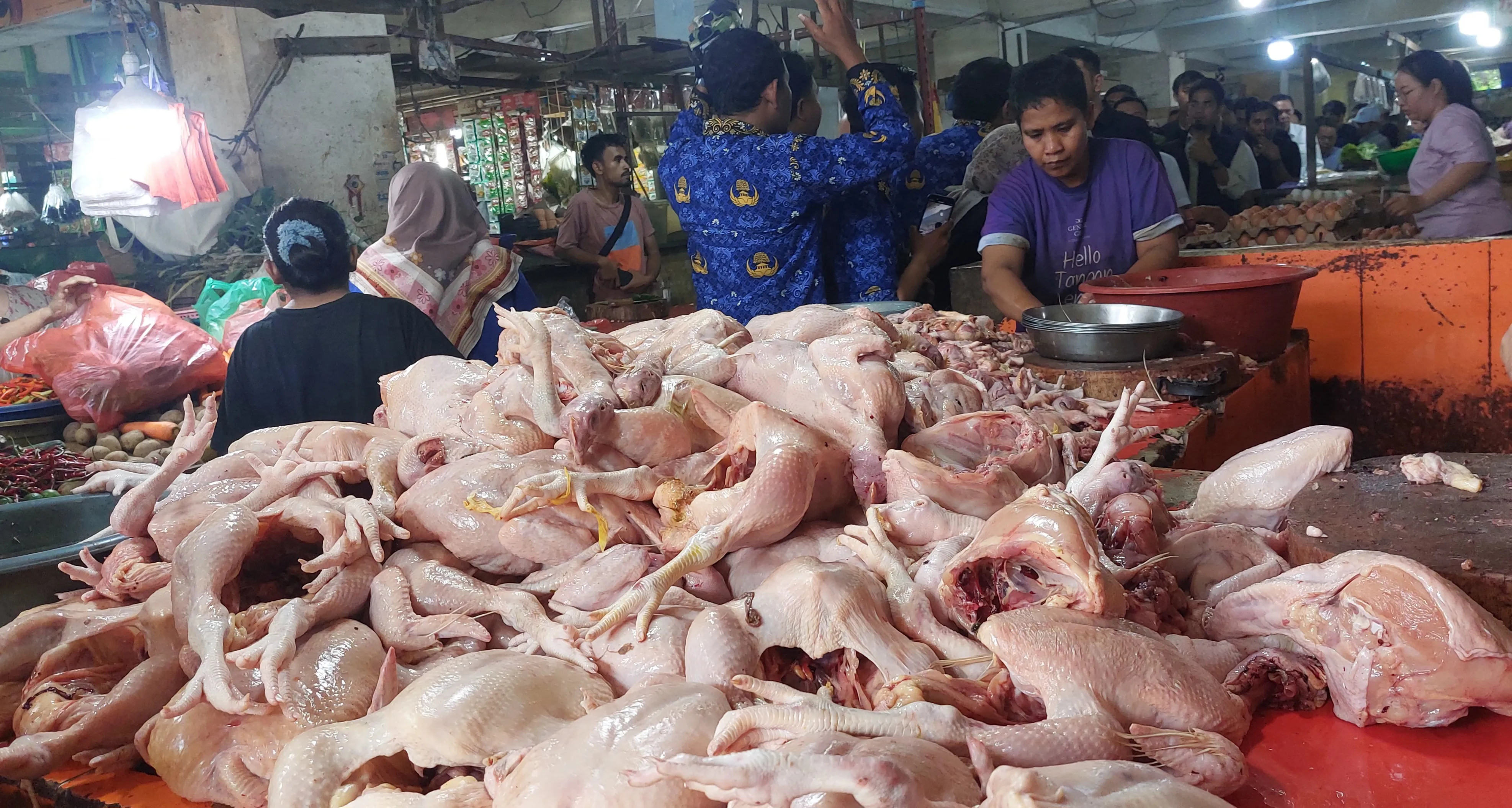 Harga Ayam di Sumut Naik 7,9 Persen, KPPU Turun Tangan