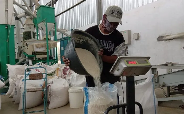 Harga Beras Premium Di Penggilingan Naik 10,02 Persen, Produksi Nasional Meningkat