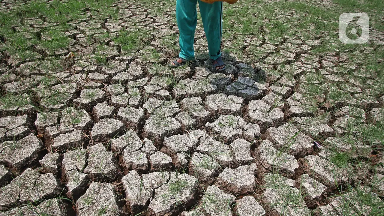 Bappenas Perluas Sumber Pembiayaan Hadapi El Nino, Stok Beras Nasional Dipastikan Aman