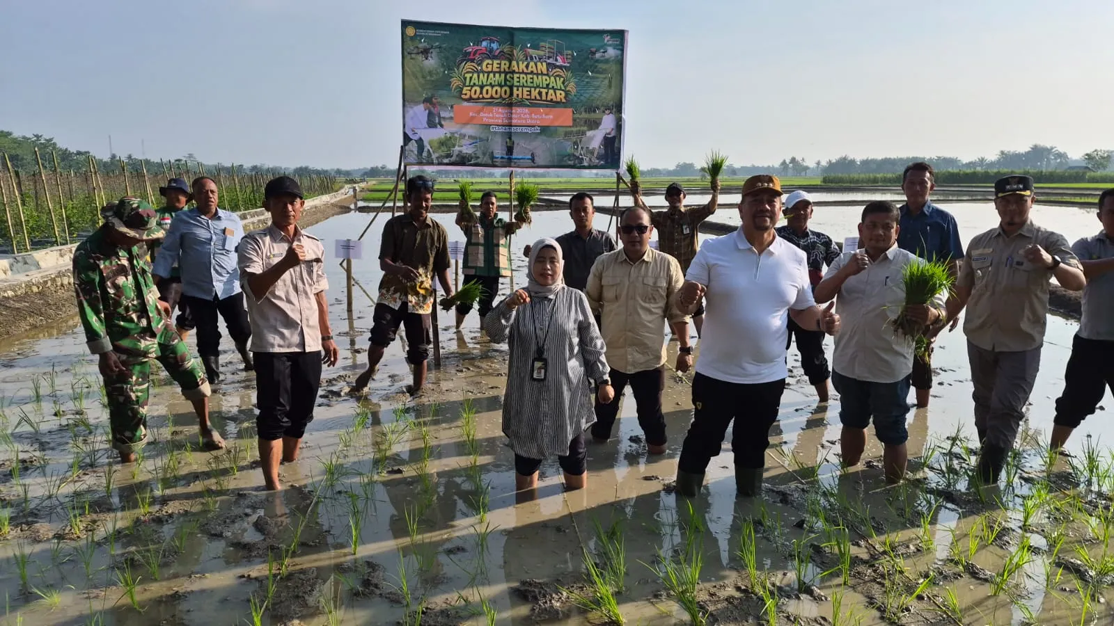 Gerakan Tanam Serentak 50.000 Hektare di Batu Bara, Perkuat Komitmen Sumut Dukung Swasembada Pangan