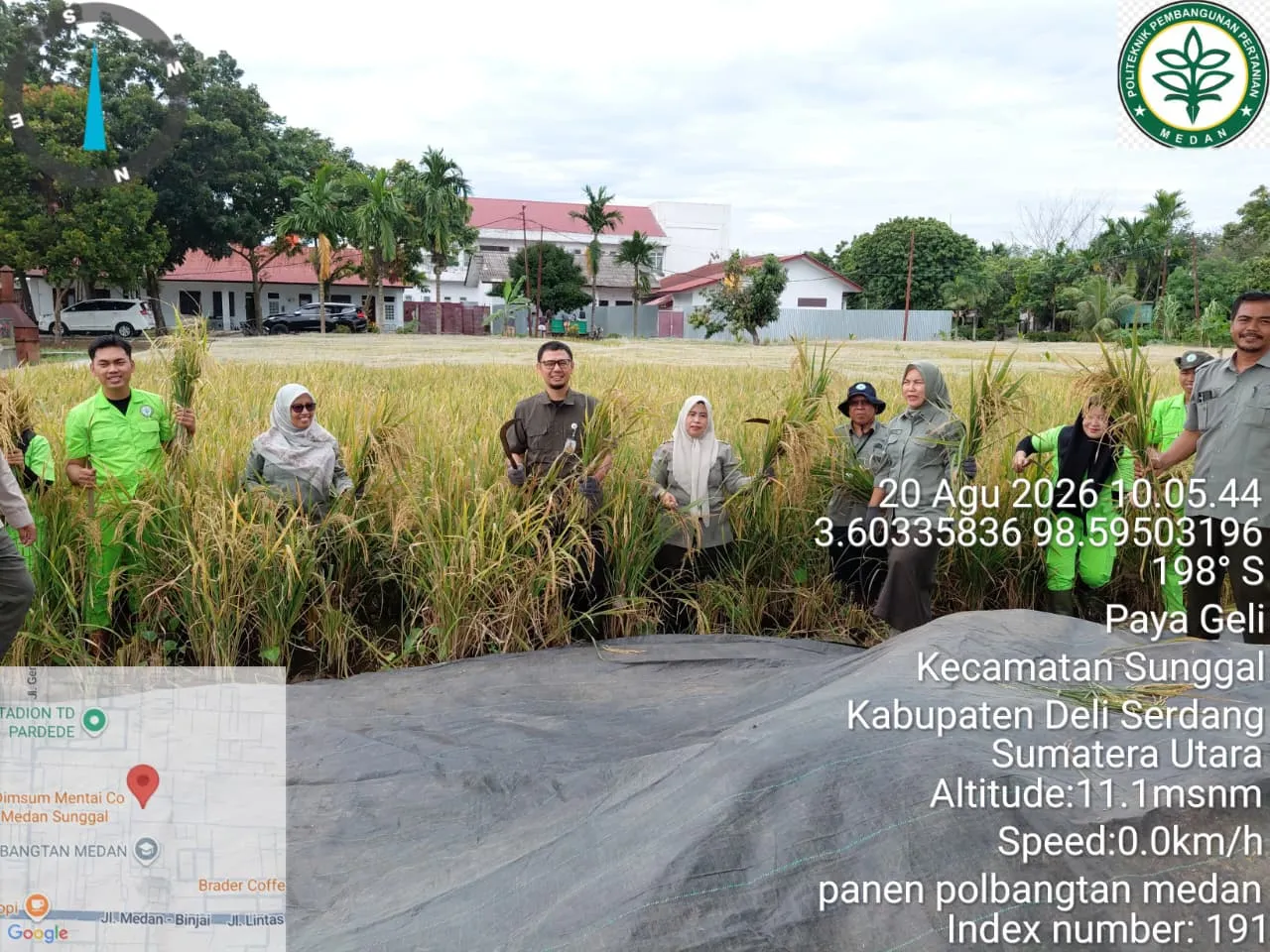 Polbangtan Kementan Kembali Panen Padi Sawah di Lahan TeFa